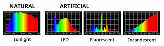 LED Light spectrum